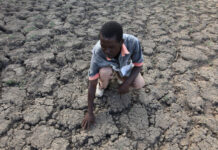 Sommet africain sur le climat : l’union pour une justice climatique et une Afrique verte