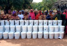 Réserve de biosphère du Badiar : Le karité devient un levier de développement durable et d’autonomisation des femmes