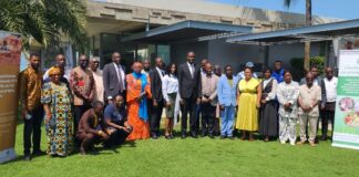 Guinée : Tenue d’un atelier pour doter le pays d’une stratégie nationale d’inclusion financière pour moderniser l’exploitation minière artisanale