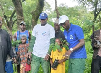 Kindia : lancement du reboisement de la forêt communautaire de Kagbelen