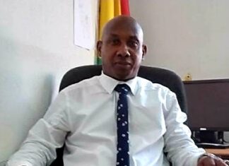 La Constitution fiscale de la C.E.D.E.A.O (Par Dr Mamadou Aliou BAH)