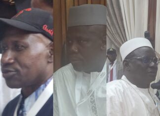 Guinée/Assemblée nationale de la 5ème République : Trois (3) groupes parlementaires officiellement constitués