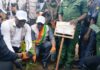 Kindia : lancement officiel de la campagne de création de plantations forestières destinées à la production de bois d’œuvre et de bois d’énergie