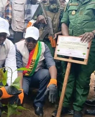Kindia : lancement officiel de la campagne de création de plantations forestières destinées à la production de bois d’œuvre et de bois d’énergie