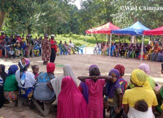 Conservation en Guinée : le théâtre participatif mobilise les communautés autour du futur Parc national Pinselli-Soyah-Sabouyah