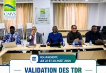 Projet Boureya : l’OMVS donne un nouvel élan au futur aménagement hydroélectrique en Guinée