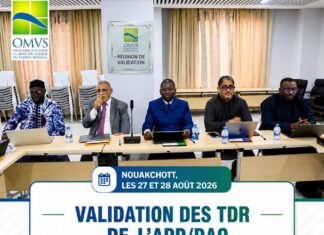Projet Boureya : l’OMVS donne un nouvel élan au futur aménagement hydroélectrique en Guinée