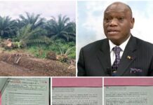 Dr David Makongo a rugi au Cameroun et obtenu une victoire pour le peuple Fako : la cession des terres de la CDC a été annulée !